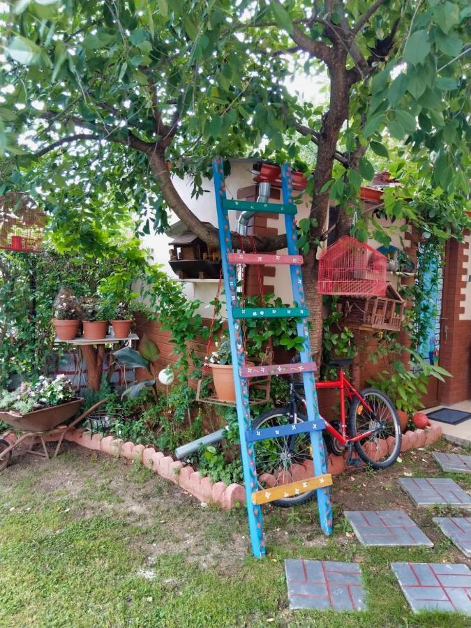 Mama'S Cozy Room 1 卡兰巴卡 外观 照片